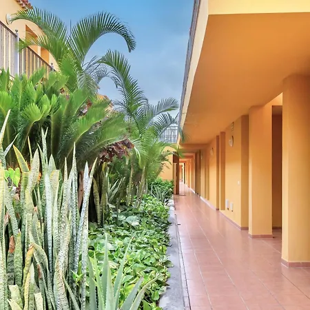 Sunny Silencio Retreat Atlantico 1