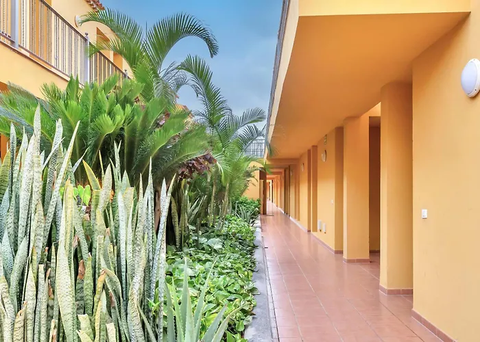 Sunny Silencio Retreat Atlantico 1 アパート コスタ・デル・シレンチオ